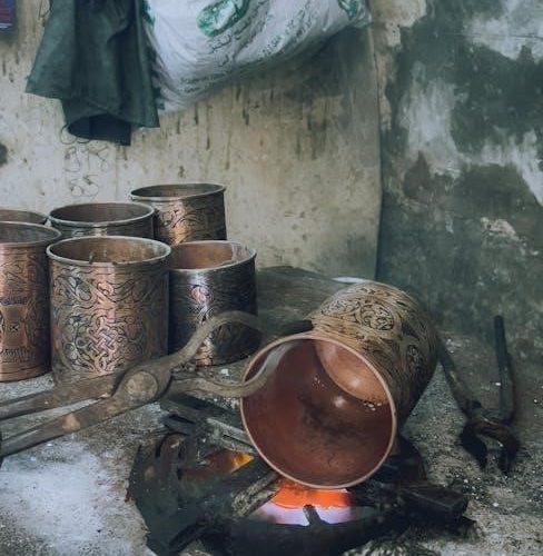 castle pellet stove manual