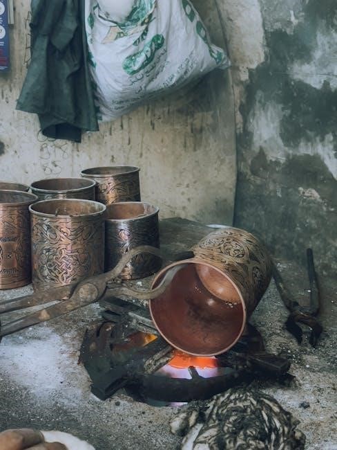 castle pellet stove manual