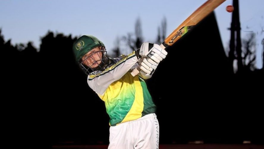 junior cricket bat size guide