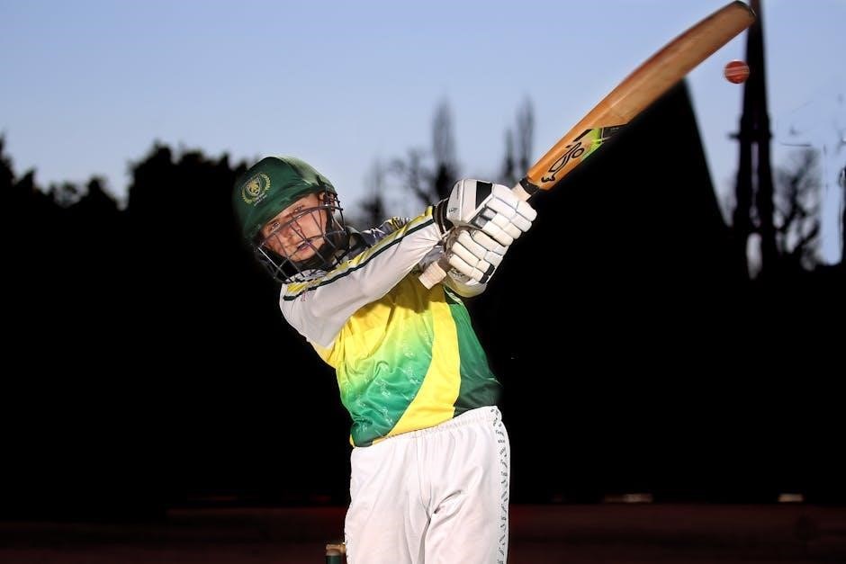 junior cricket bat size guide