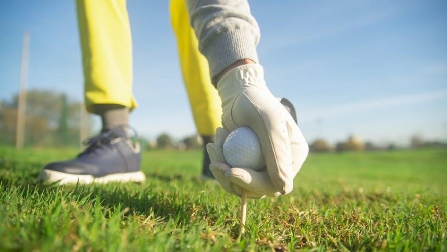 6 weeks to golf fitness pdf
