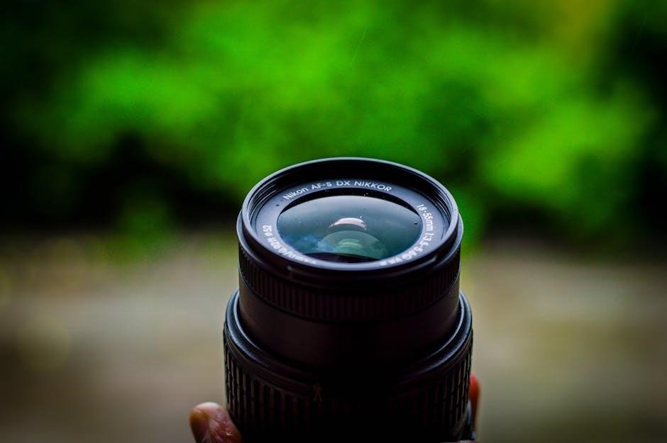 nikon d40x manual