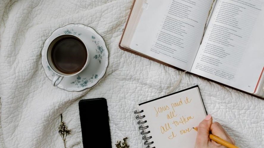 how to study the bible pdf