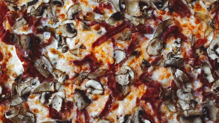 wood fired pizza oven plans pdf