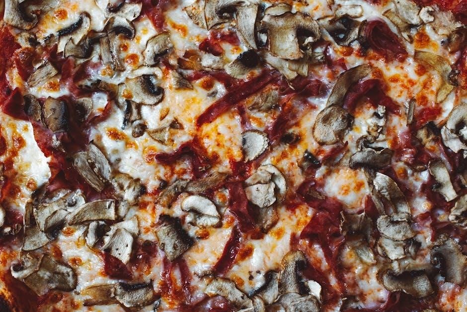 wood fired pizza oven plans pdf