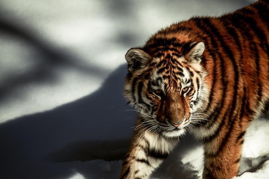 the wild k webster pdf