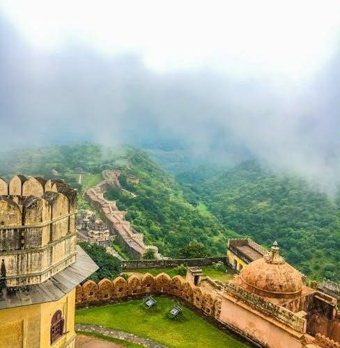 crazy forts instructions